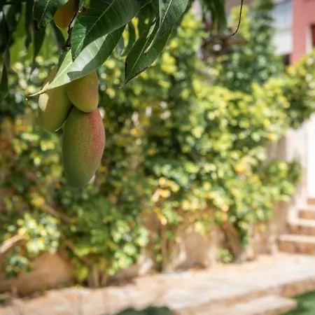 Villa Comfortable Private Garden *